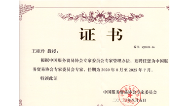 授予中国服务贸易协会专家委员会成员